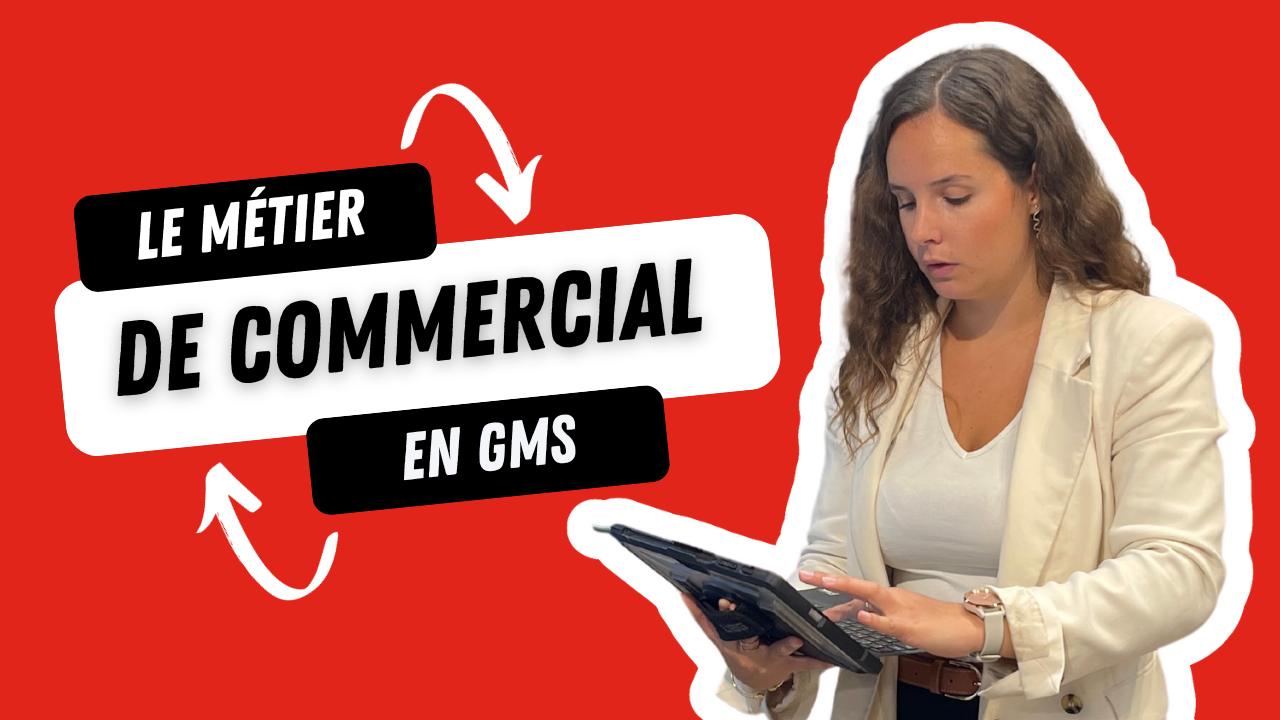 Combien gagne un promoteur des ventes en GMS (aussi appelé chef de secteur)