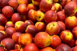 Tout savoir sur la Pêche et la Nectarine : des fruits d’été à forte attractivité, à valoriser avec méthode