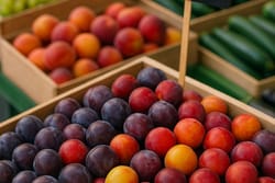 Tout savoir sur la prune : fraîcheur, variétés et conseils de mise en rayon