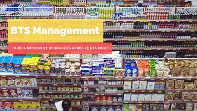 Quels métiers et débouchés après le BTS MCO ?