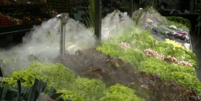 3 solutions pour préserver la fraîcheur des produits frais