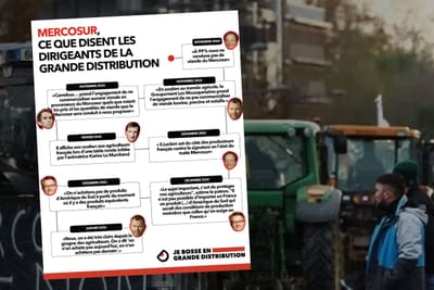 Les enseignes françaises à l'offensive contre le Mercosur