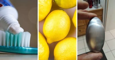 Comment se débarrasser de l’odeur de poisson (conseils par les pros des rayons marée)