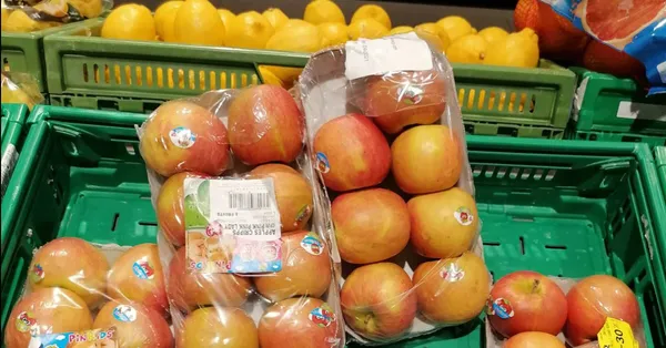4 pistes clés pour améliorer la loi Garot et lutter (encore plus) contre le gaspillage alimentaire